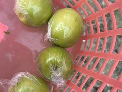 -新塘水果乐园(东洲大道店)