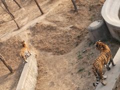 -石家庄市动物园