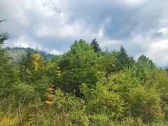 -石棉县孟获城