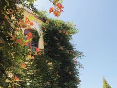 -青岛德国监狱旧址博物馆