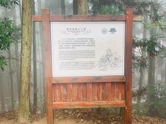 -井冈山风景名胜区