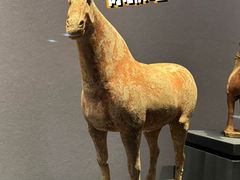 -鄂尔多斯博物馆