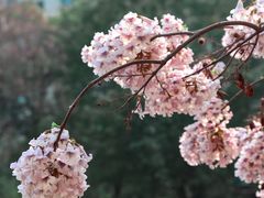 -红星桥(地铁站)