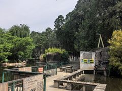 -昆明动物园