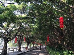 -大湾区中央湿地公园