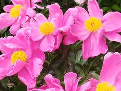 -长春公园(普阳街道)