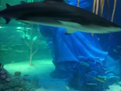 -沈阳海洋探索中心