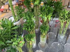 -中环花鸟鱼虫市场