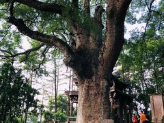 -安溪清水岩