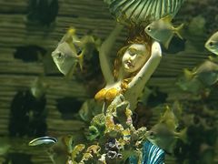 -上海海昌海洋公园
