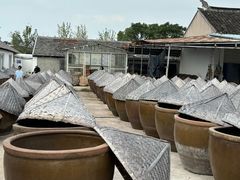 -苏州市吴中区光福窑上花果蜜饯厂