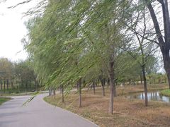 -东郊湿地公园