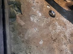 -苏州海洋馆
