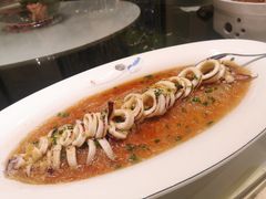 -宝燕壹号(徐汇店)