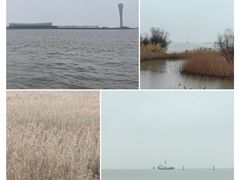 -上海吴淞炮台湾国家湿地公园