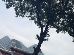 -大师傅金奖啤酒鱼(西街口总店)