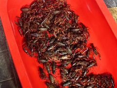 -河南前程·羊肉汤·烧烤(总店)