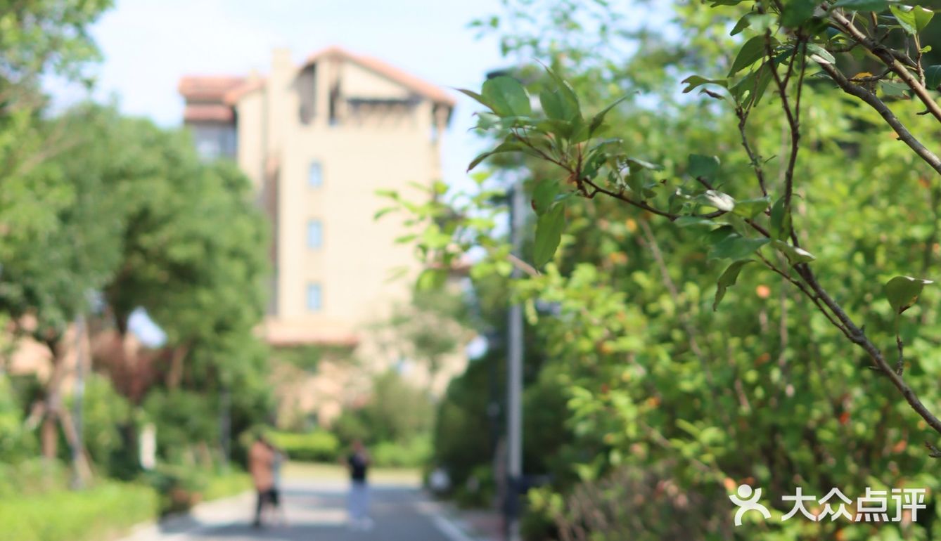 逃离城市|开车一小时到崇明去烧烤