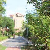 逃离城市|开车一小时到崇明去烧烤