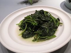 清炒地瓜叶-阳光海鲜城(太仓万达店)