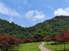 -五泄景区