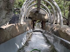 -沂蒙山旅游区云蒙景区(蒙山国家森林公园)
