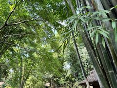-成都杜甫草堂博物馆