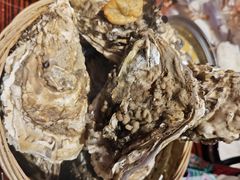 -蚝堡海鲜·威海菜·海肠捞饭·烧烤·亚洲吃蚝公司(幸福门店)