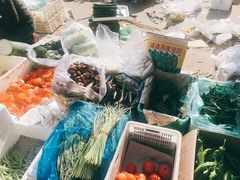 -韩家墅海吉星农产品批发市场
