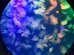 -成都浩海立方海洋公园