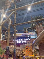 -卡通尼·Safari非洲探索乐园·生日会(金桥国际商业广场店)