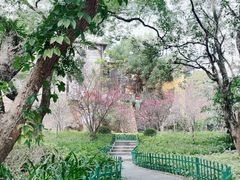 -乌山风景区