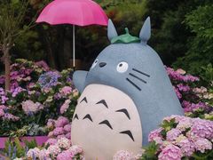 -上海滨江森林公园