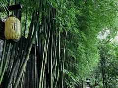 -三苏祠