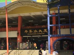 -新加坡佛牙寺龙华院