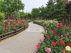 -西海子公园