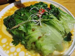 -十二毡房蒙餐·蒙古包