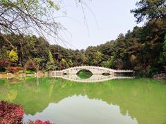 -铁山坪森林公园