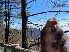 -峨眉山风景名胜区
