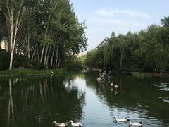 -城市运动公园(未央区)