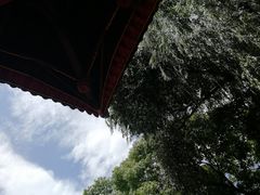 -四川大学(望江校区)
