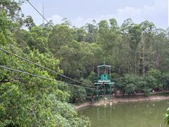 -大雁山风景区