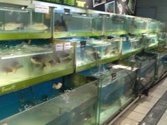 -永辉超市(凯德·天府店)