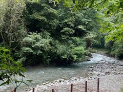 -西岭雪山大飞水景区