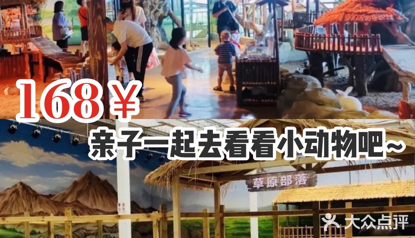 168￥带娃去看看小动物吧~