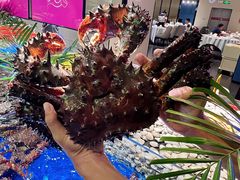 -79号渔船海鲜饭店(华强北店)