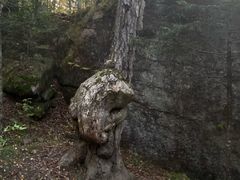 -汤旺河林海奇石景区