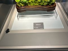 -安徽省地质博物馆