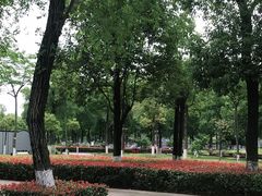 -眉山湿地公园(东坡区)