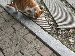 -南京特殊教育师范学院(燕子矶校区)